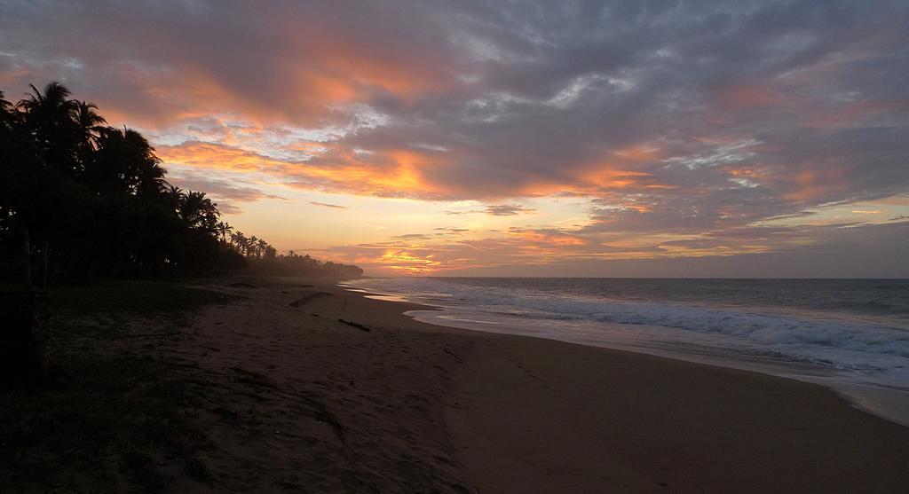 Seven Turtles Hotel Tangalle Ngoại thất bức ảnh